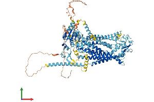 AlphaFold protein structure predicition of Mouse Recombinant Ano1 Protein, UniprotID Q8BHY3