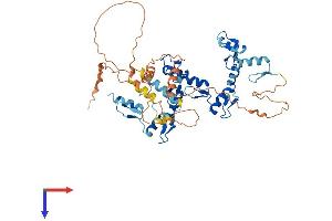 AlphaFold protein structure predicition of Human Recombinant ZIK1 Protein, UniprotID Q3SY52