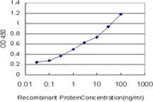 Detection limit for recombinant GST tagged MPG is approximately 0. (MPG anticorps  (AA 1-90))