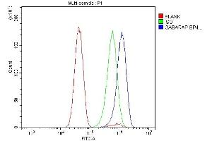 Flow Cytometry analysis of U251 cells using anti-GABARAP antibody (ABIN7603159). (GABARAP anticorps  (N-Term))