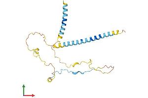 AlphaFold protein structure predicition of Mouse Recombinant Ebag9 Protein, UniprotID Q9D0V7