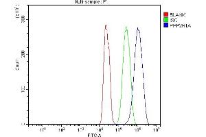 Flow Cytometry analysis of C6 cells using anti-PPP2R1A antibody (ABIN7603081).