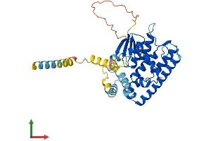 AlphaFold protein structure predicition of Human Recombinant GDAP1L1 Protein, UniprotID Q96MZ0