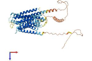 AlphaFold protein structure predicition of Mouse Recombinant Otop1 Protein, UniprotID Q80VM9