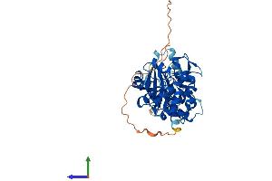 AlphaFold protein structure predicition of Mouse Recombinant Nim1k Protein, UniprotID Q8BHI9