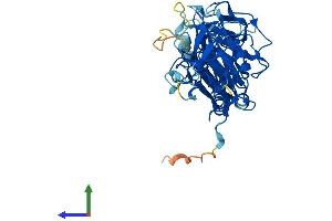 AlphaFold protein structure predicition of Mouse Recombinant Peli2 Protein, UniprotID Q8BST6