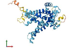 AlphaFold protein structure predicition of Human Recombinant SLC25A27 Protein, UniprotID O95847