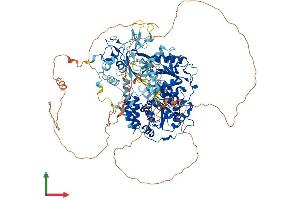 AlphaFold protein structure predicition of Human Recombinant UPF1 Protein, UniprotID Q92900