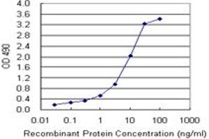 Sandwich ELISA detection sensitivity ranging from 0. (KIT (Humain) Matched Antibody Pair)