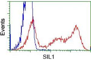 Image no. 2 for anti-Nucleotide Exchange Factor SIL1 (SIL1) antibody (ABIN1496809) (SIL1 anticorps)