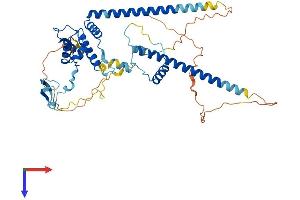 AlphaFold protein structure predicition of Human Recombinant DMAP1 Protein, UniprotID Q9NPF5