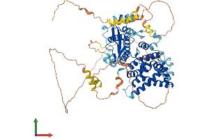 AlphaFold protein structure predicition of Mouse Recombinant Tcf25 Protein, UniprotID Q8R3L2