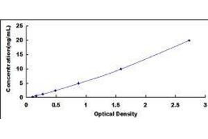 Protein Disulfide Isomerase Family A, Member 2 (PDIA2) ELISA Kit