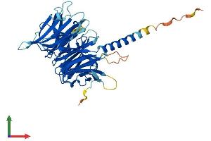 AlphaFold protein structure predicition of Mouse Recombinant Kptn Protein, UniprotID Q8VCX6