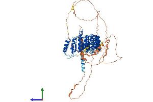 AlphaFold protein structure predicition of Mouse Recombinant Ppp1r37 Protein, UniprotID Q8BKR5