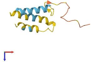 AlphaFold protein structure predicition of Human Recombinant BLCAP Protein, UniprotID P62952