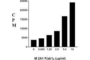 Image no. 1 for Mouse anti-Rat IgM (Chain mu) antibody (ABIN371250) (Souris anti-Rat IgM (Chain mu) Anticorps)