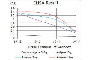 ELISA image for anti-Transforming Growth Factor, beta 1 (TGFB1) (AA 62-195) antibody (ABIN1846085)