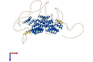 AlphaFold protein structure predicition of Mouse Recombinant Cdc27 Protein, UniprotID A2A6Q5