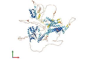 AlphaFold protein structure predicition of Human Recombinant KCNH3 Protein, UniprotID Q9ULD8