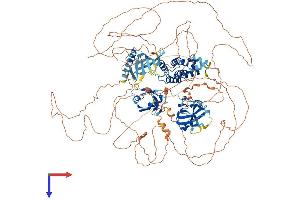 AlphaFold protein structure predicition of Human Recombinant RGS3 Protein, UniprotID P49796