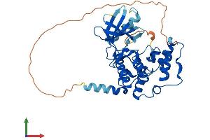 AlphaFold protein structure predicition of Human Recombinant CDKL1 Protein, UniprotID Q00532