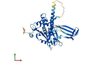 AlphaFold protein structure predicition of Human Recombinant USP46 Protein, UniprotID P62068