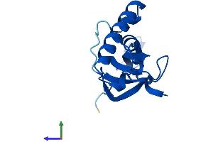 AlphaFold protein structure predicition of Human Recombinant RPL27 Protein, UniprotID P61353