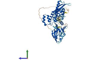 AlphaFold protein structure predicition of Mouse Recombinant Snx27 Protein, UniprotID Q3UHD6