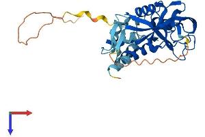 AlphaFold protein structure predicition of Mouse Recombinant Gipc2 Protein, UniprotID Q9Z2H7