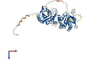 AlphaFold protein structure predicition of Human Recombinant SUFU Protein, UniprotID Q9UMX1