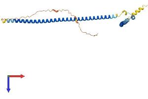 AlphaFold protein structure predicition of Mouse Recombinant Mipol1 Protein, UniprotID Q9D9F8