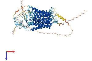 AlphaFold protein structure predicition of Human Recombinant SLCO4C1 Protein, UniprotID Q6ZQN7