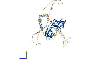 AlphaFold protein structure predicition of Human Recombinant SYT3 Protein, UniprotID Q9BQG1