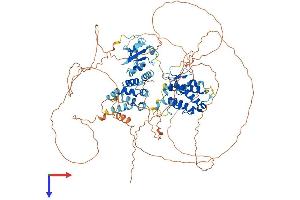 AlphaFold protein structure predicition of Human Recombinant SP140 Protein, UniprotID Q13342