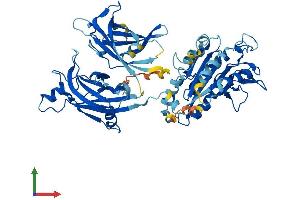 AlphaFold protein structure predicition of Mouse Recombinant Cpne6 Protein, UniprotID Q9Z140