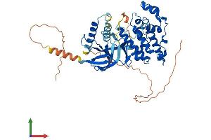 AlphaFold protein structure predicition of Mouse Recombinant Mapk10 Protein, UniprotID Q61831