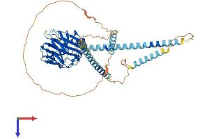 AlphaFold protein structure predicition of Mouse Recombinant Nptxr Protein, UniprotID Q99J85