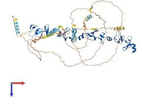 AlphaFold protein structure predicition of Mouse Recombinant Pxn Protein, UniprotID Q8VI36