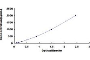 Typical standard curve (Calreticulin Kit ELISA)