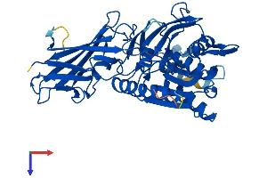 AlphaFold protein structure predicition of Mouse Recombinant Acnat2 Protein, UniprotID Q8BGG9