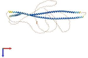AlphaFold protein structure predicition of Human Recombinant KRT9 Protein, UniprotID P35527