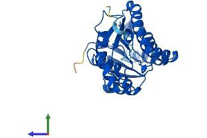 AlphaFold protein structure predicition of Human Recombinant HSD17B14 Protein, UniprotID Q9BPX1