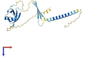 AlphaFold protein structure predicition of Human Recombinant CIDEC Protein, UniprotID Q96AQ7