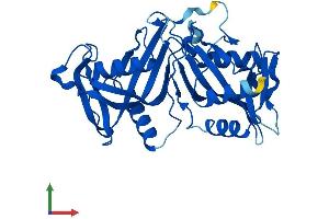 AlphaFold protein structure predicition of Mouse Recombinant Nudt18 Protein, UniprotID Q3U2V3