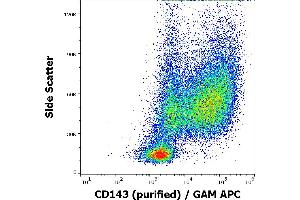 Flow cytometry surface staining pattern of human GM-CSF + IL-4 stimulated peripheral blood mononuclear cells stained using anti-human CD143 (5-369) purified antibody (concentration in sample 0,6 μg/mL) GAM APC. (Angiotensin I Converting Enzyme 1 anticorps)