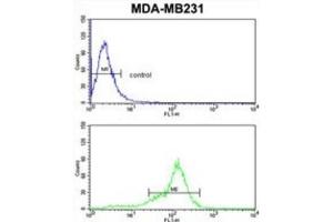 Flow Cytometry (FACS) image for anti-BCL2-Related Protein A1 (BCL2A1) antibody (ABIN2997079) (BCL2A1 anticorps)