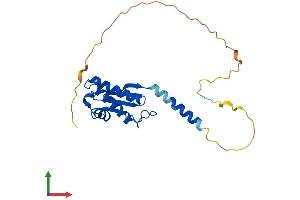 AlphaFold protein structure predicition of Human Recombinant BTG4 Protein, UniprotID Q9NY30