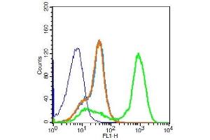 Mouse Spleen Cells probed with P2Y10 Polyclonal Antibody, PE Conjugated (green) at 1:100 for 30 minutes compared to unstained cells (blue), secondary only (light blue), and isotype control (orange).
