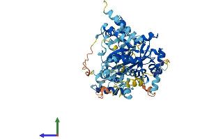 AlphaFold protein structure predicition of Mouse Recombinant Jrkl Protein, UniprotID B2RRL2